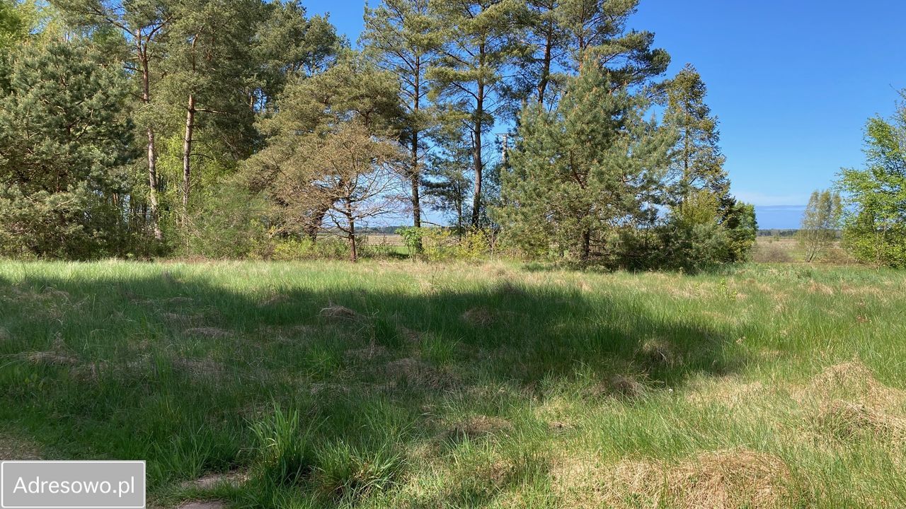 Działka Odargowo, ul. Źródlana