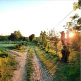 Działka rolno-budowlana Jagodne. Zdjęcie 1