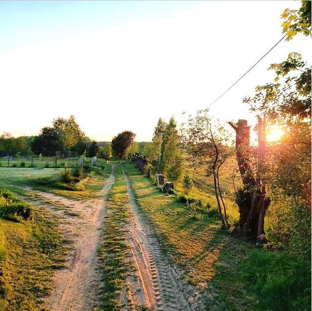 Działka rolno-budowlana Jagodne. Zdjęcie 2
