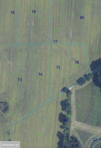 Działka rolno-budowlana Borkowice. Zdjęcie 1