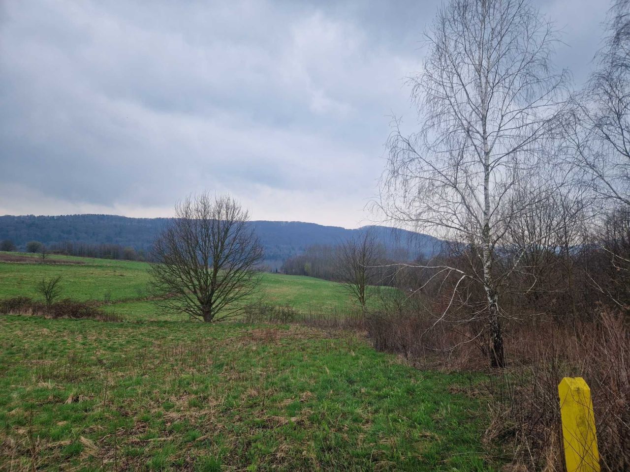 Działka budowlana Kamienica Dolna. Zdjęcie 5