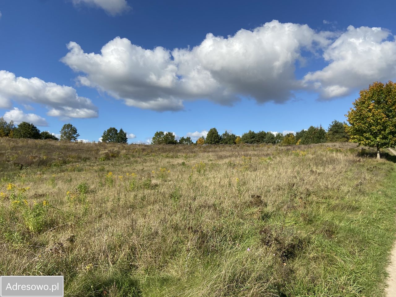 Działka rolna Skajboty