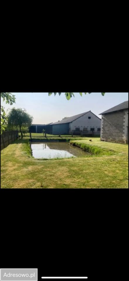 Działka budowlana Gutów Duży. Zdjęcie 13