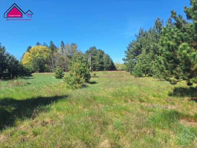 Działka inwestycyjna Wygoda. Zdjęcie 1