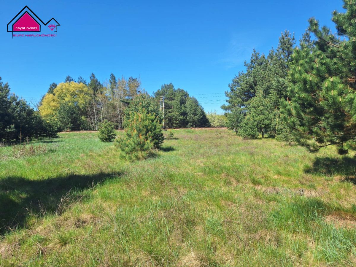 Działka inwestycyjna Wygoda. Zdjęcie 1
