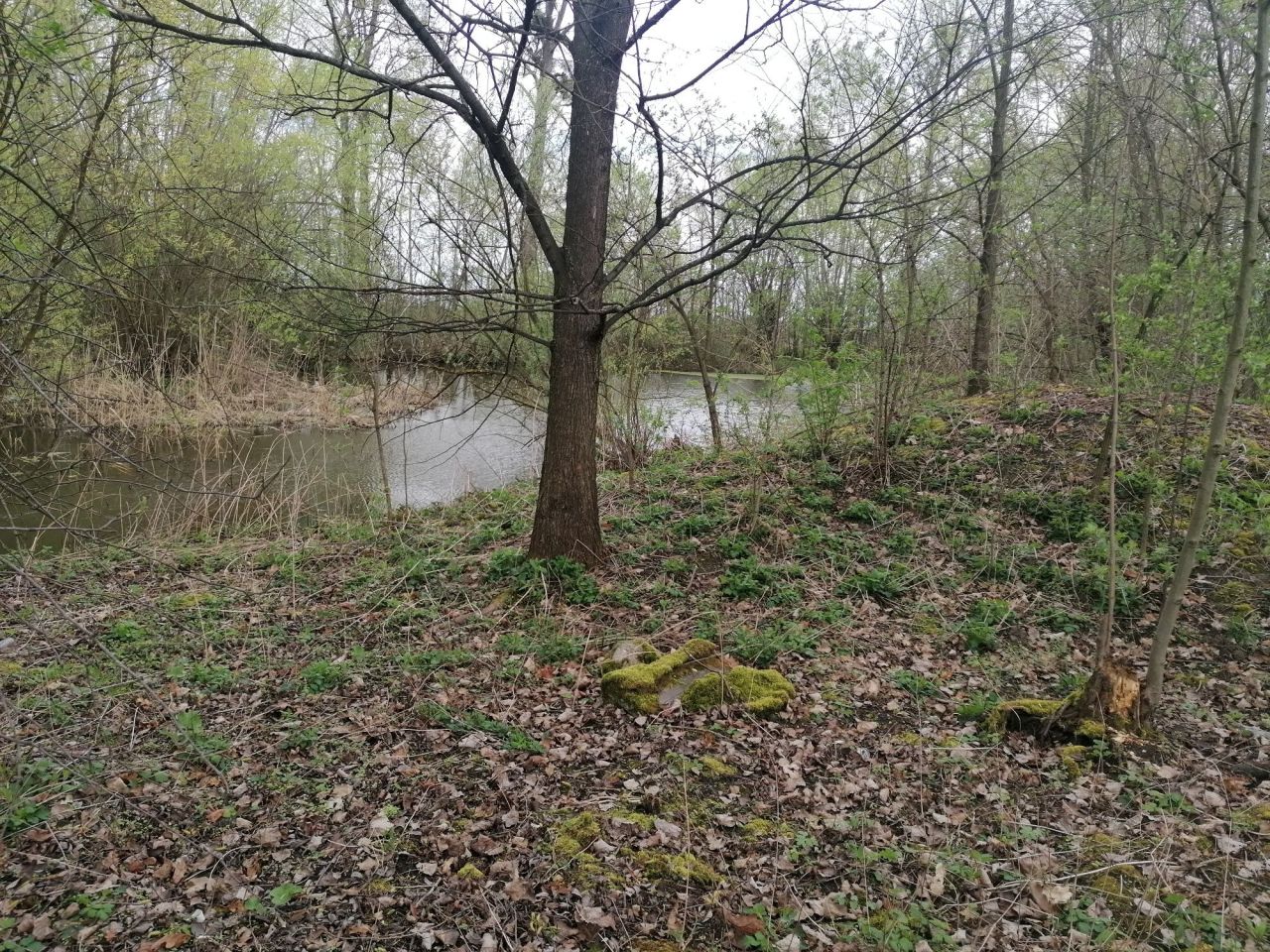 Działka budowlana Wojków. Zdjęcie 3