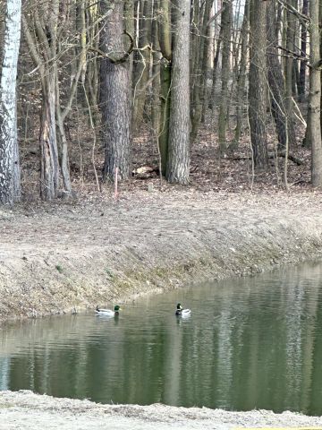 dom wolnostojący, 5 pokoi Sucha, Tartaczna. Zdjęcie 24