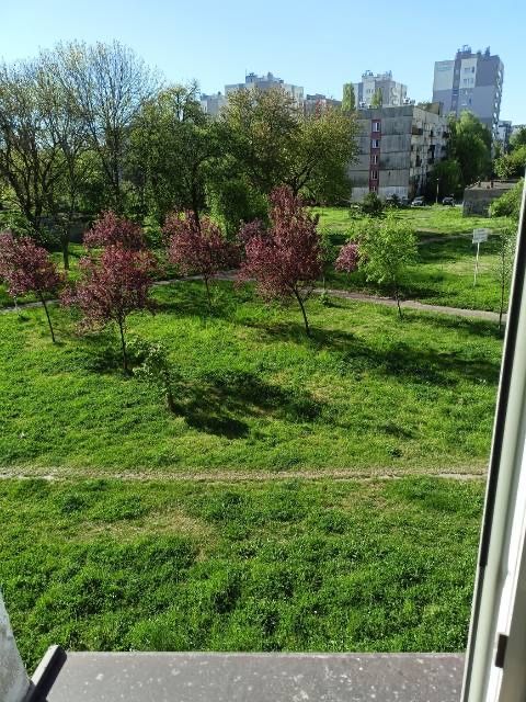 Mieszkanie 1-pokojowe Katowice Wełnowiec. Zdjęcie 2
