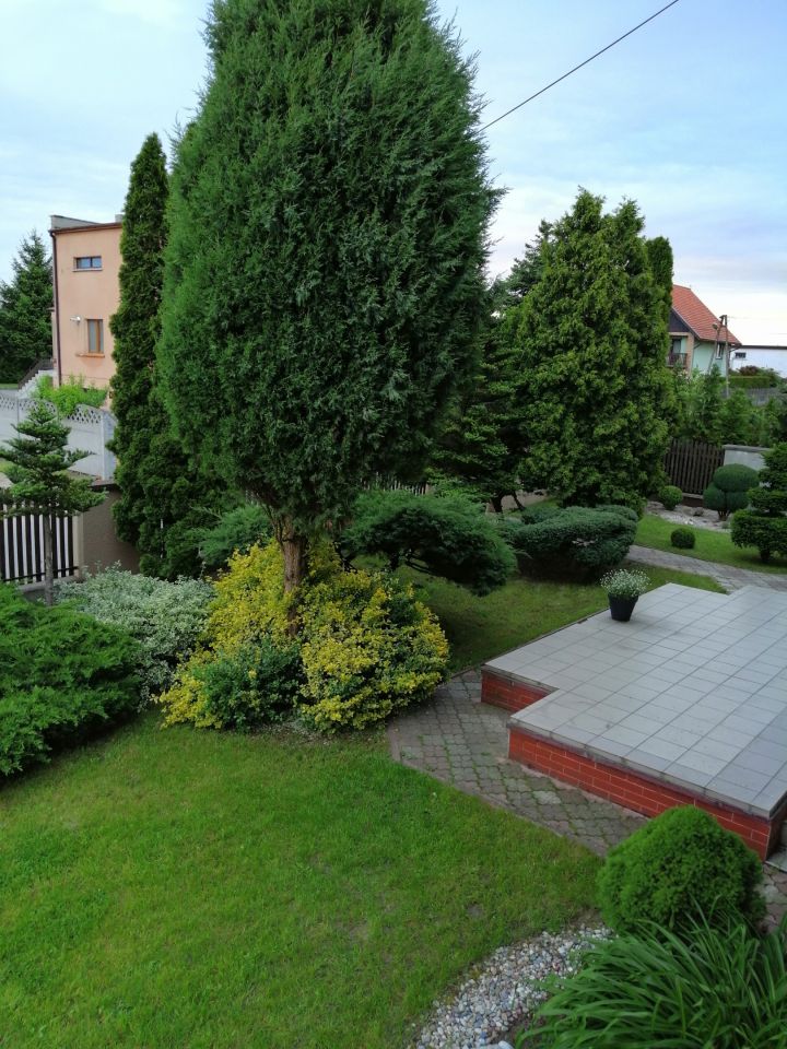 dom wolnostojący, 4 pokoje Strzałkowo, Księdza Marusarza. Zdjęcie 3