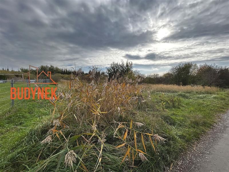 Działka budowlana Darłowo, ul. Mikołaja Reja. Zdjęcie 5