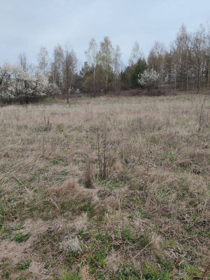 Działka budowlana Ossowice. Zdjęcie 6