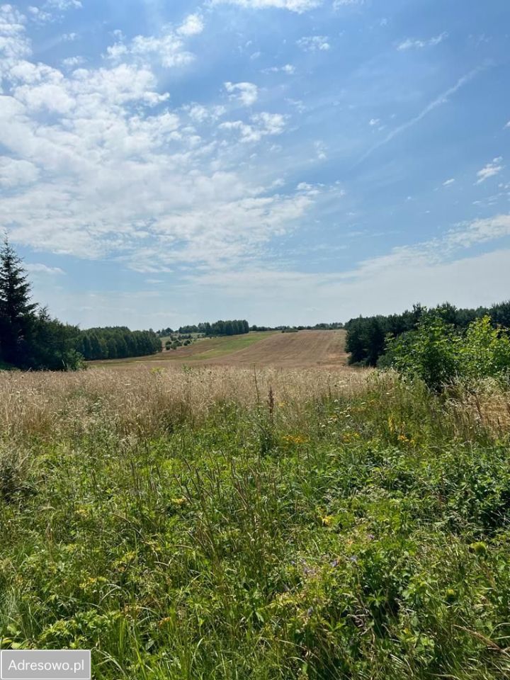 Działka rolno-budowlana Biskupice, ul. Chorońska. Zdjęcie 7