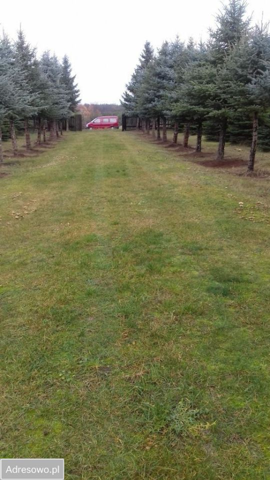 Działka budowlana Żółtki. Zdjęcie 10