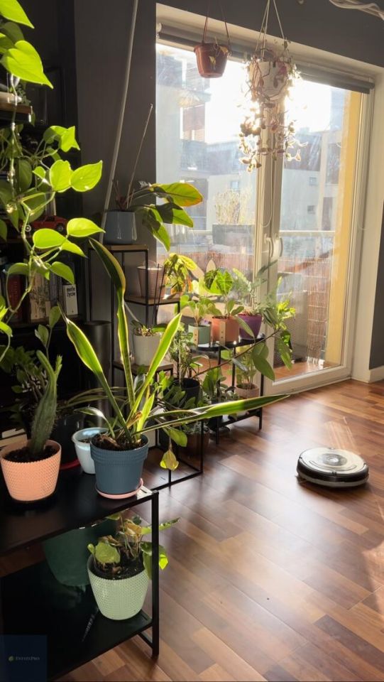 Mieszkanie 2-pokojowe Katowice Brynów, ul. Władysława Orkana. Zdjęcie 7