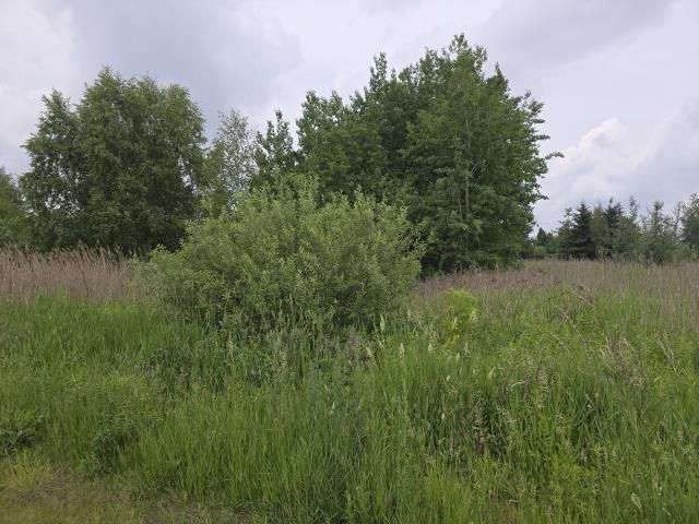 Działka budowlana Radzymin. Zdjęcie 4