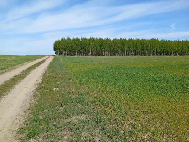 Działka rolno-budowlana Plutycze. Zdjęcie 1