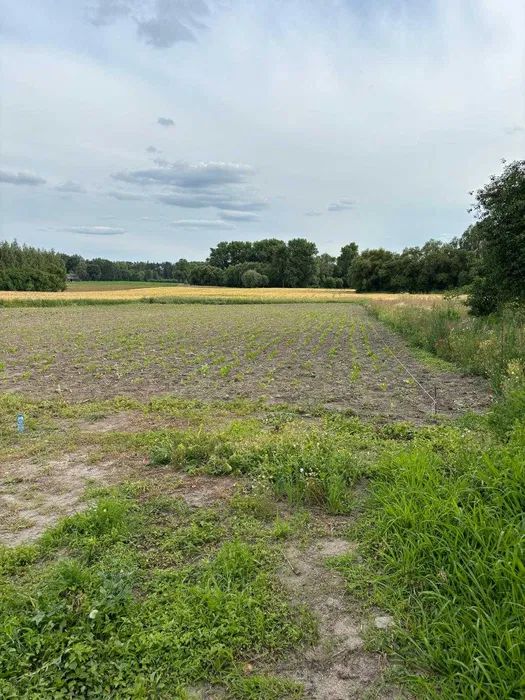 Działka budowlana Czaple. Zdjęcie 3