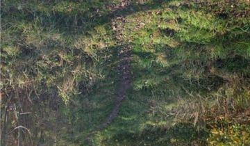 Działka budowlana Gliwice Szobiszowice, ul. Floriańska