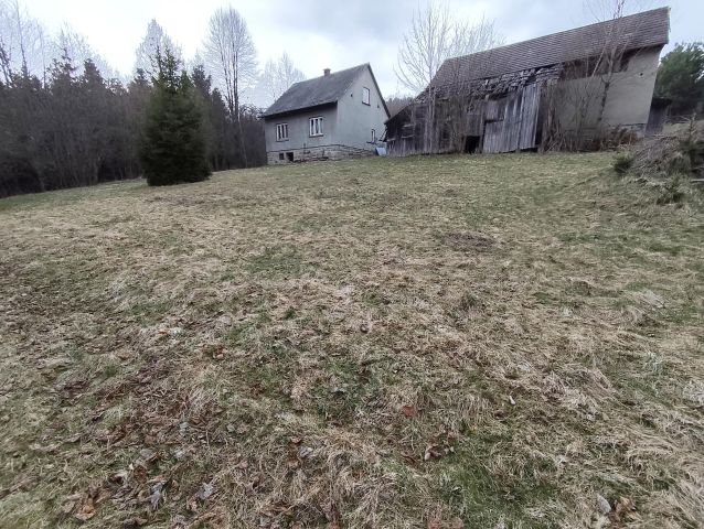 Działka rolno-budowlana Soblówka Hutyrowa. Zdjęcie 1