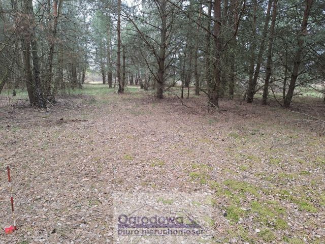 Działka Kamieńczyk. Zdjęcie 3