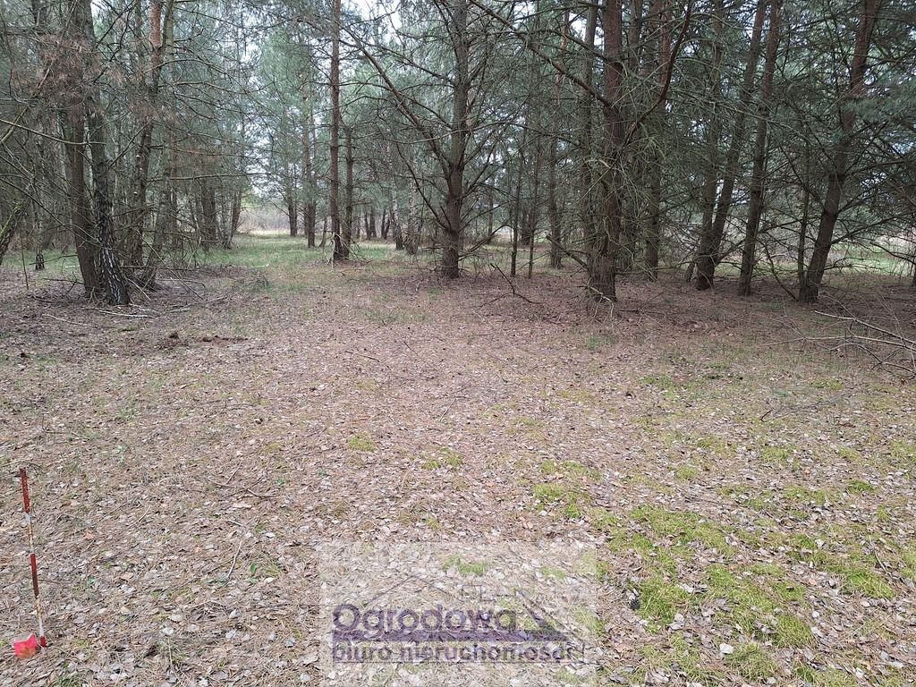 Działka Kamieńczyk. Zdjęcie 3