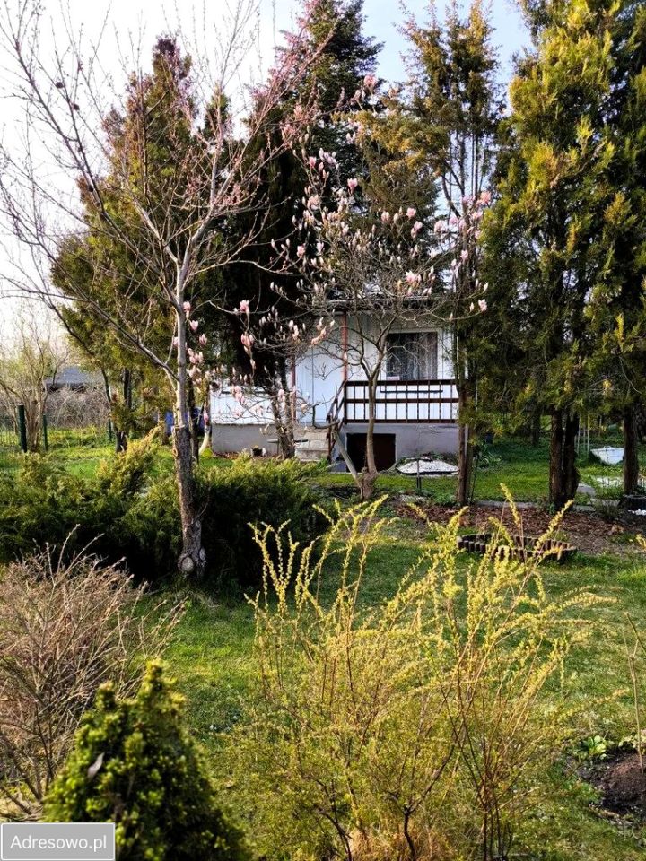Działka rod Łódź, ul. Krakowska. Zdjęcie 3