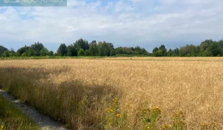 Działka budowlana Konstancin-Jeziorna, ul. Bukowa