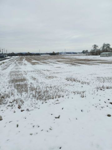 Działka budowlana Olza, ul. Polna. Zdjęcie 1