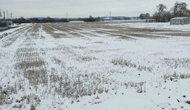 Działka budowlana Olza, ul. Polna