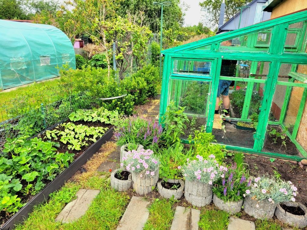 Działka rod Rumia, ul. Kosynierów. Zdjęcie 7