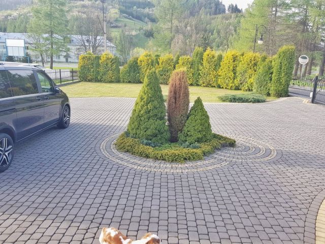 dom wolnostojący, 4 pokoje Muszyna. Zdjęcie 4