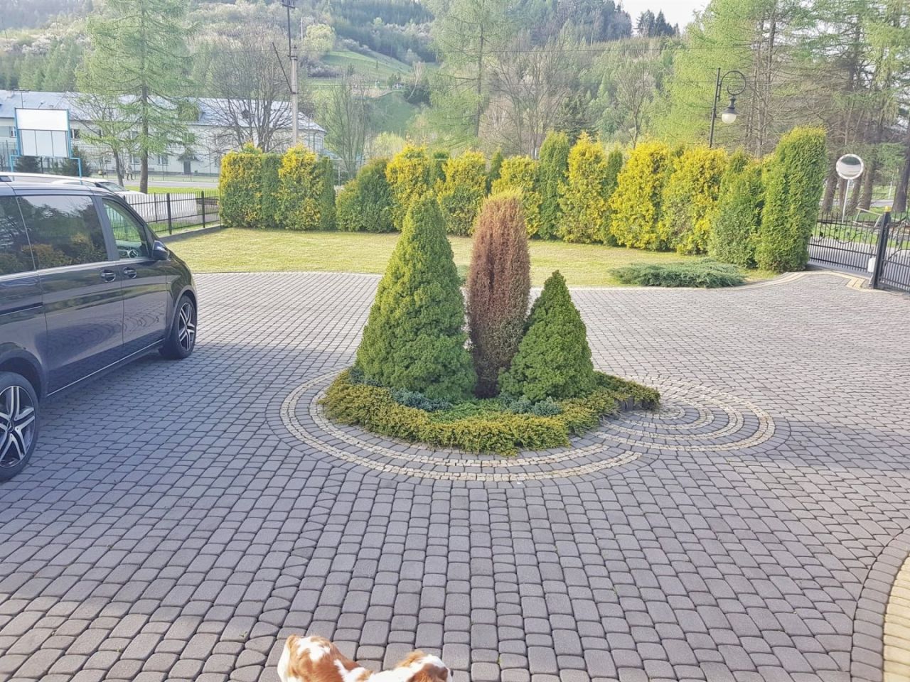 dom wolnostojący, 4 pokoje Muszyna. Zdjęcie 4