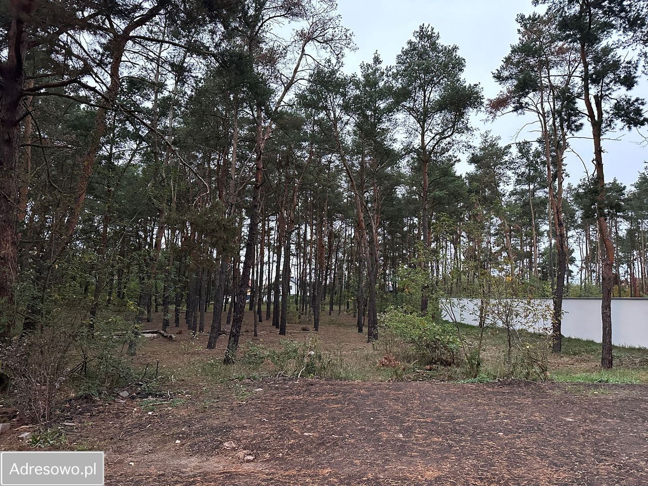 Działka inwestycyjna Marki, ul. Hetmańska