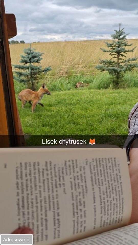 Działka budowlana Lubockie, ul. Wieczorka. Zdjęcie 9