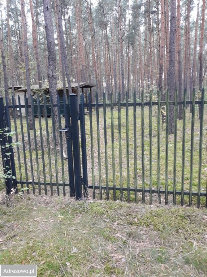 Działka leśna Cyganówka. Zdjęcie 6