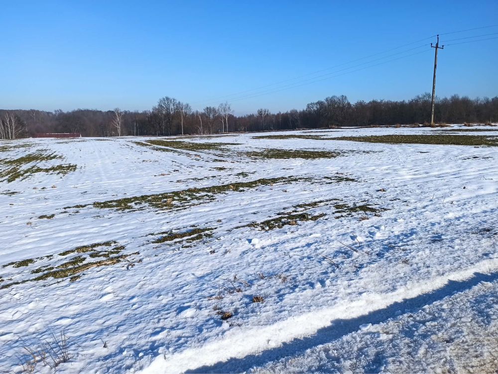 Działka rolno-budowlana Kraszew. Zdjęcie 2