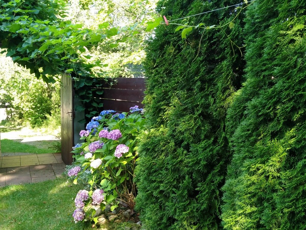 dom, 3 pokoje Łapalice, ul. Zamkowa. Zdjęcie 11