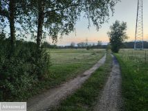 Działka budowlana Trzebiszewo. Zdjęcie 3