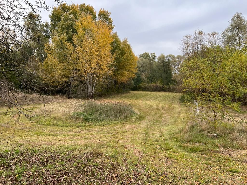 Działka rolno-budowlana Głusk. Zdjęcie 2