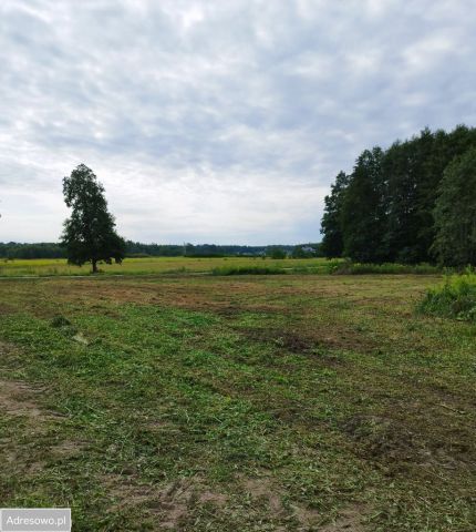 Działka rolno-budowlana Jaźwiny. Zdjęcie 1