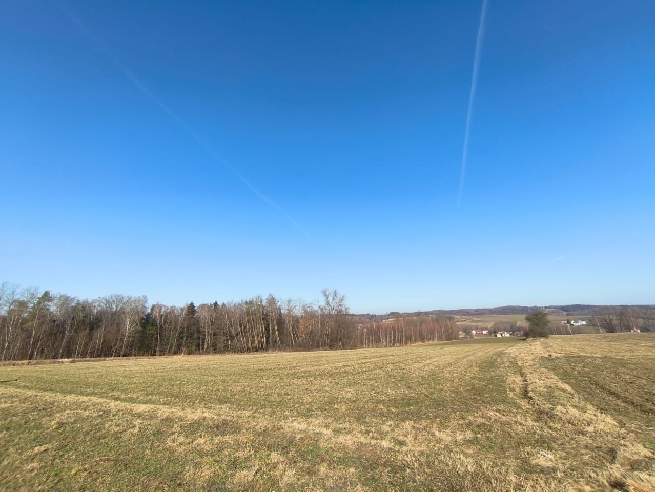 Działka rolna Dębowa. Zdjęcie 4