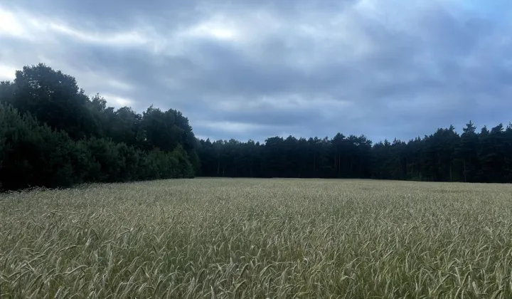 Działka budowlana Grabal