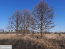 Działka rolno-budowlana Łuków, ul. Poważe. Zdjęcie 1