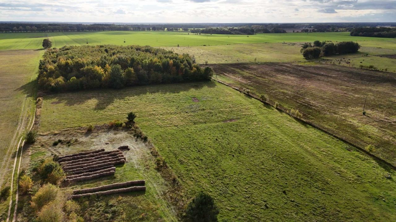 Działka budowlana Karsk. Zdjęcie 2