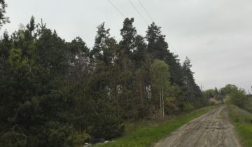 Działka leśna Bałdrzychów