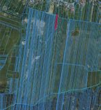 Działka rolna Wysoka Lelowska. Zdjęcie 2