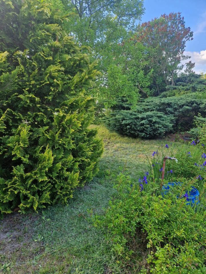 Działka rod Poznań, ul. Bukowska. Zdjęcie 3