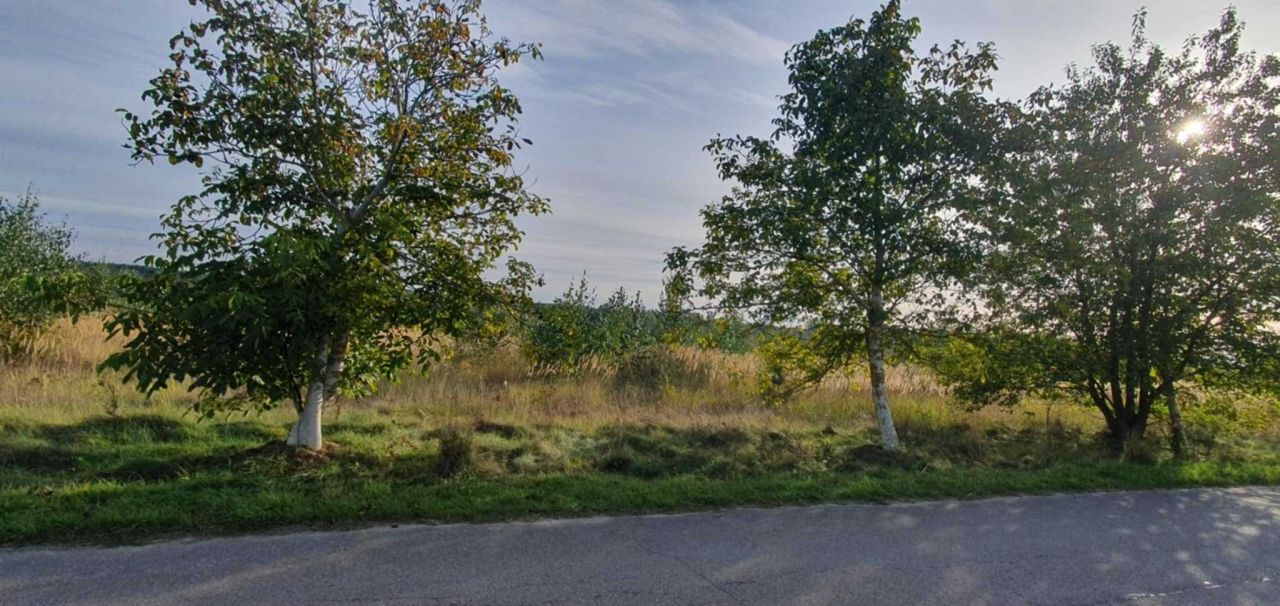 Działka budowlana Krasne. Zdjęcie 4