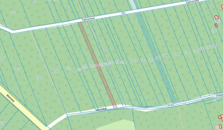 Działka leśna Strzeniówka