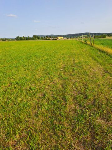 Działka budowlana Kryg. Zdjęcie 1